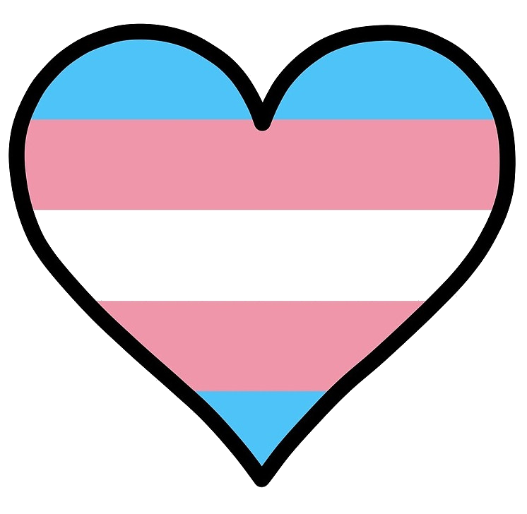 YOURSAY | Prioritise our students and audit university admissions YOURSAY | Prioritise our students and audit university admissions